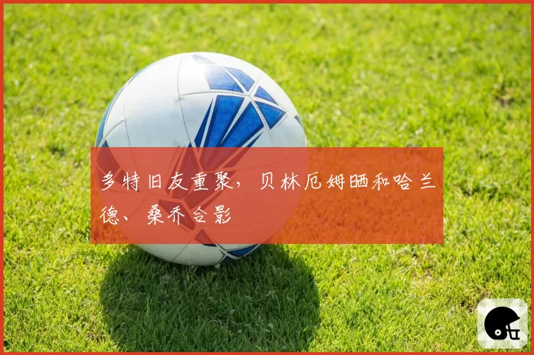 多特旧友重聚，贝林厄姆晒和哈兰德、桑乔合影