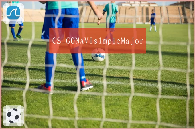 CS_GONAVIs1mpleMajor